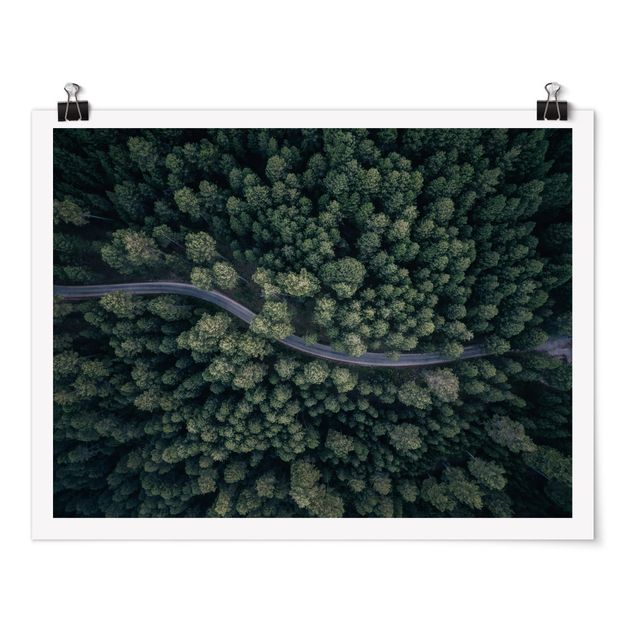 schöne Bilder Luftbild - Waldstraße von Oben