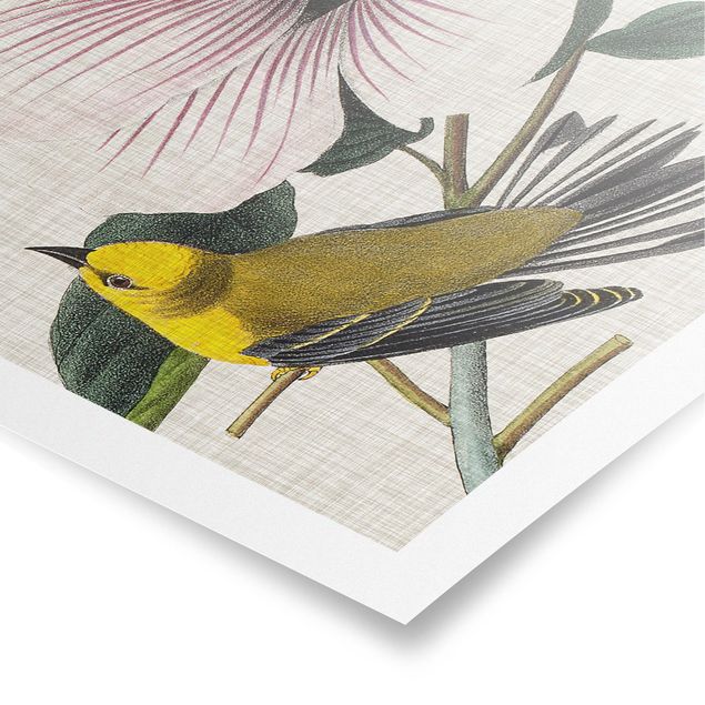 Poster - Vogel auf Leinen Gelb I - Quadrat 1:1