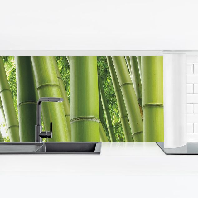 Küchenrückwand selbstklebend Bamboo Trees