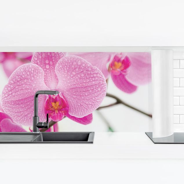Küchenrückwand selbstklebend Nahaufnahme Orchidee