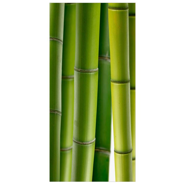 Raumteiler - Bambuspflanzen 250x120cm