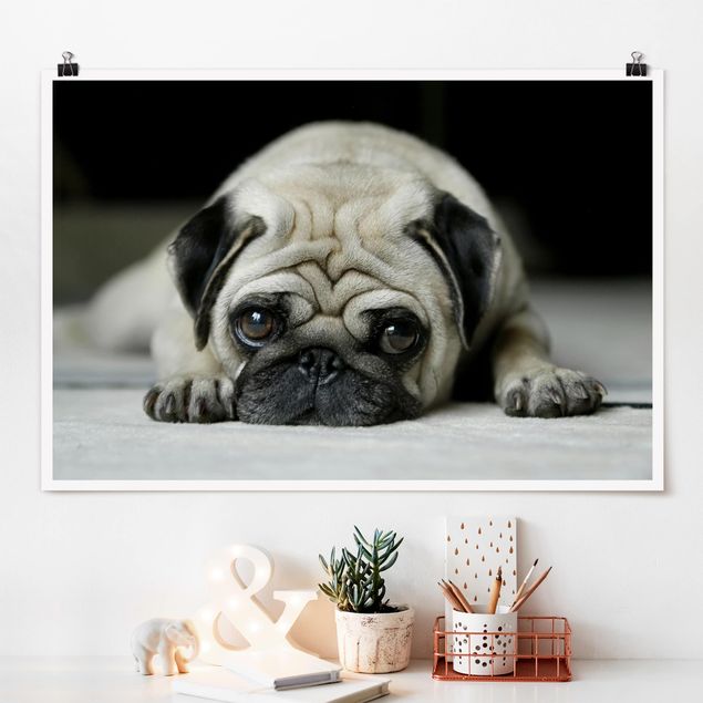 Wand Poster XXL Pug Loves You