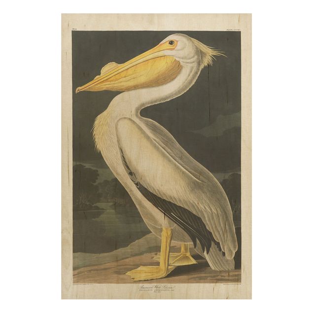 Holzbilder Vintage Lehrtafel Weißer Pelikan