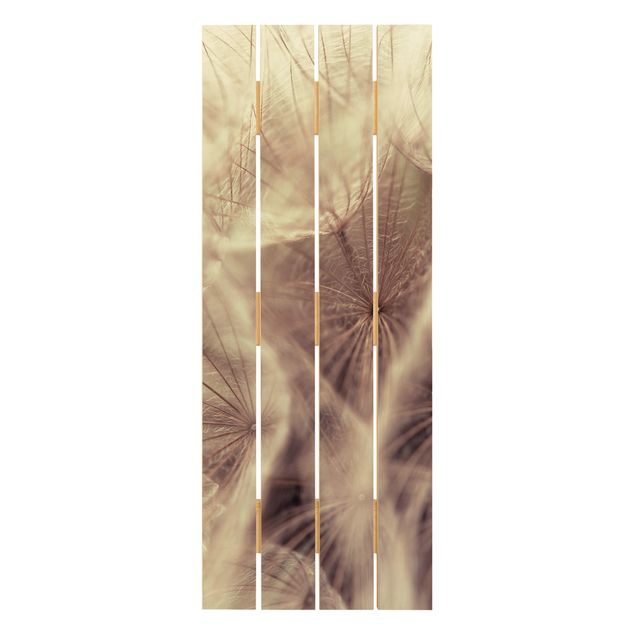 Holzbild - Detailreiche Pusteblumen Makroaufnahme mit Vintage Blur Effekt - Hochformat 5:2