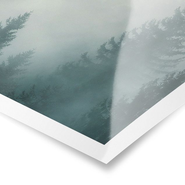 Poster - Nadelwald im Nebel - Quadrat 1:1