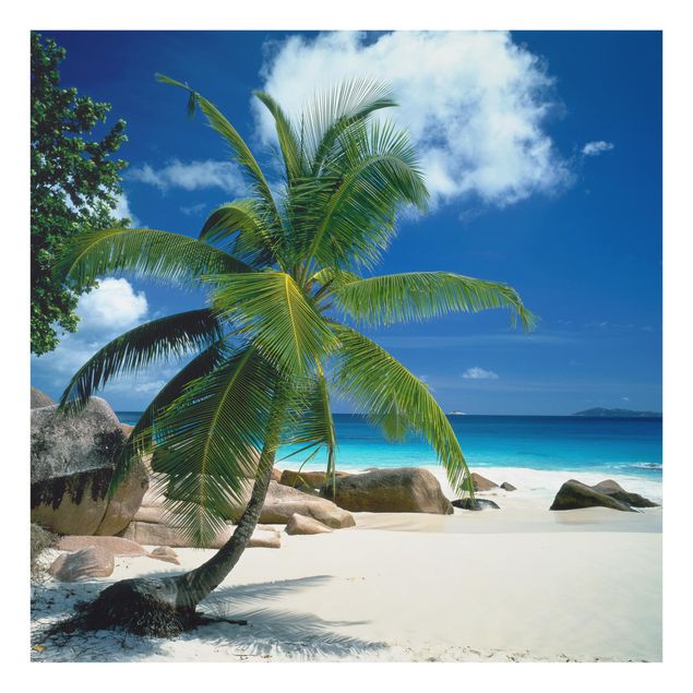 Spritzschutz Natur Traumstrand Seychellen