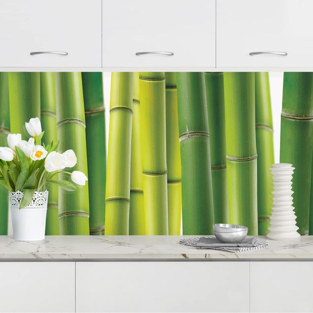 Platte Küchenrückwand Bambuspflanzen I