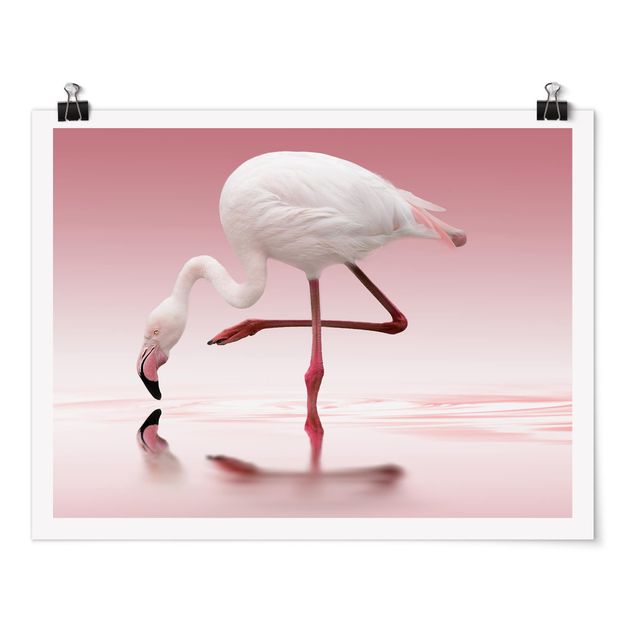 Wandbilder Flamingo Dance