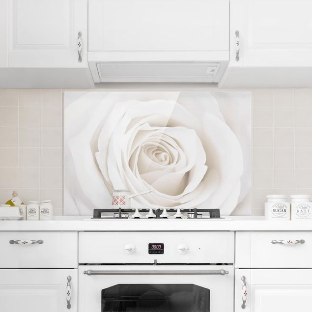 Glasrückwand Küche Blumen Pretty White Rose