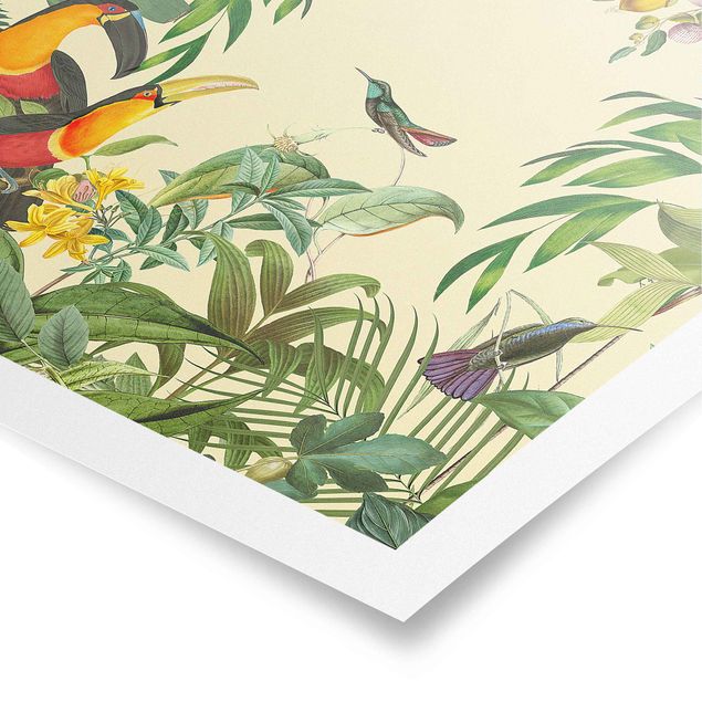 Poster Vintage Collage - Vögel im Dschungel