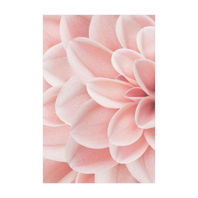 Teppich rosa Dahlie Rosa Blütenblätter Detail