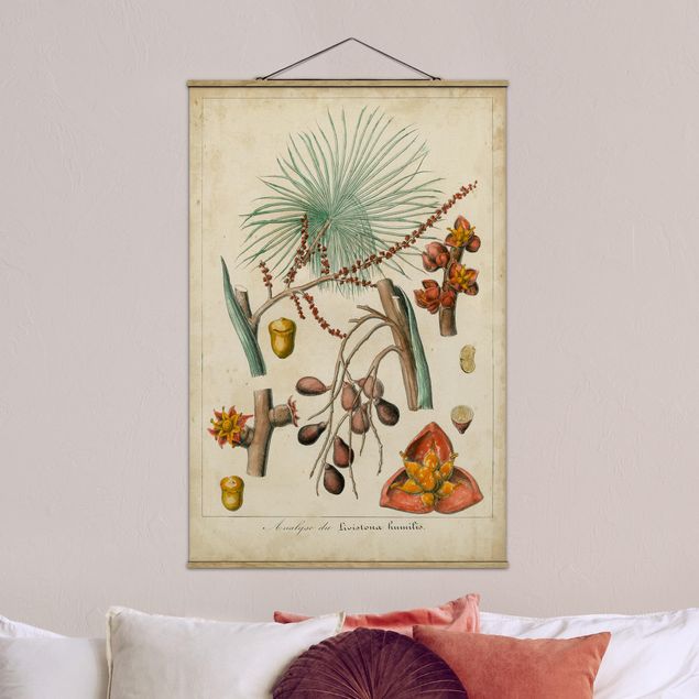 Wandbilder Vintage Lehrtafel Exotische Palmen III