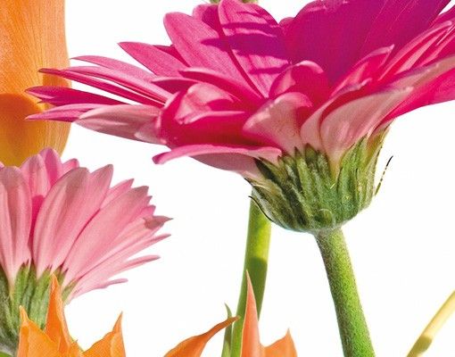 Waschbeckenunterschrank - Flower Melody - Blumen Badschrank Bunt