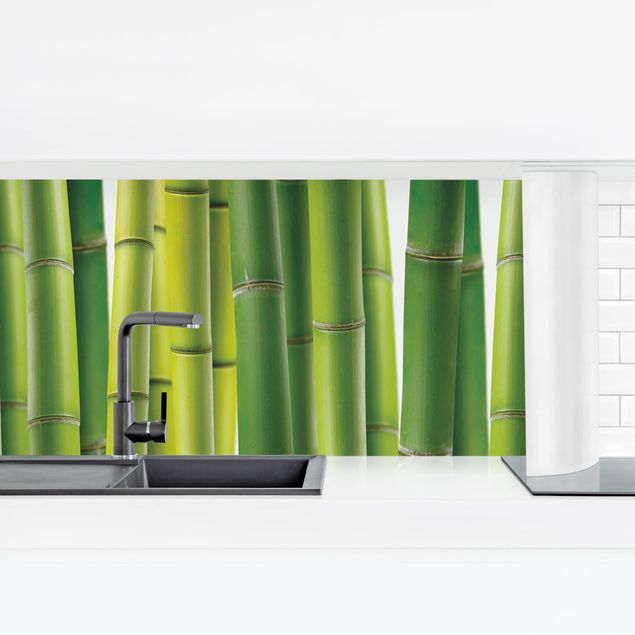 Küchenrückwand - Bambuspflanzen II