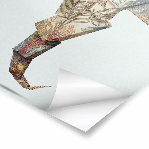 Poster - Jonas Loose - Origami Seepferdchen - Quadrat 1:1