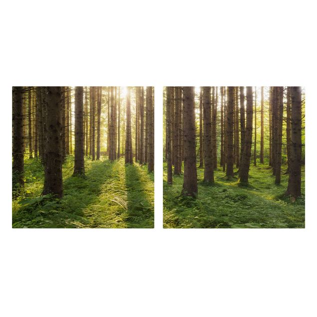 Leinwandbild 2-teilig - Sonnenstrahlen in grünem Wald - Quadrate 1:1