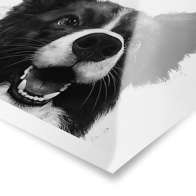 Poster Illustration Hund Border Collie Schwarz Weiß Malerei