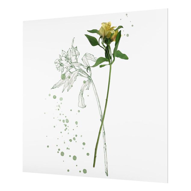 Glas Spritzschutz - Botanisches Aquarell - Lilie - Quadrat - 1:1