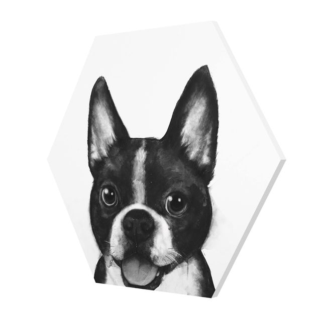 Hexagon Bild Forex - Illustration Hund Boston Schwarz Weiß Malerei