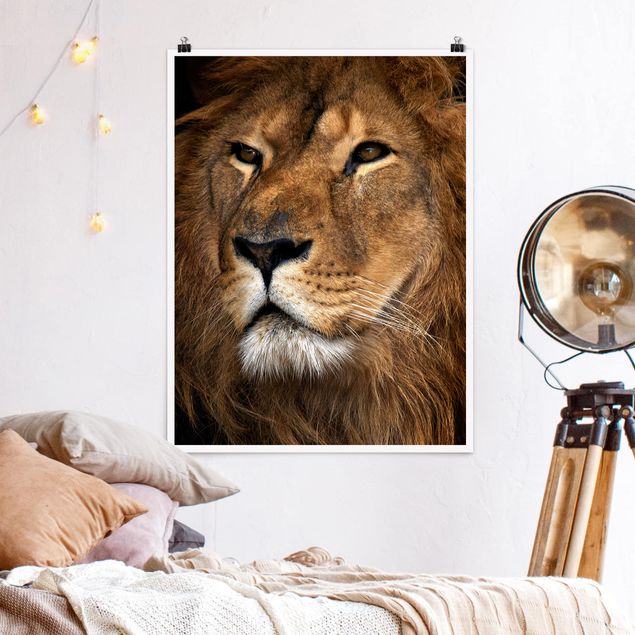 Poster Löwen Löwenblick
