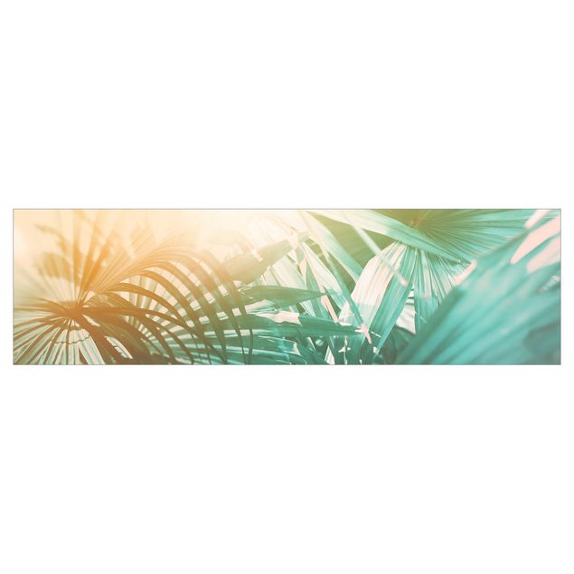 Küchenrückwand Motiv Tropische Pflanzen Palmen bei Sonnenuntergang