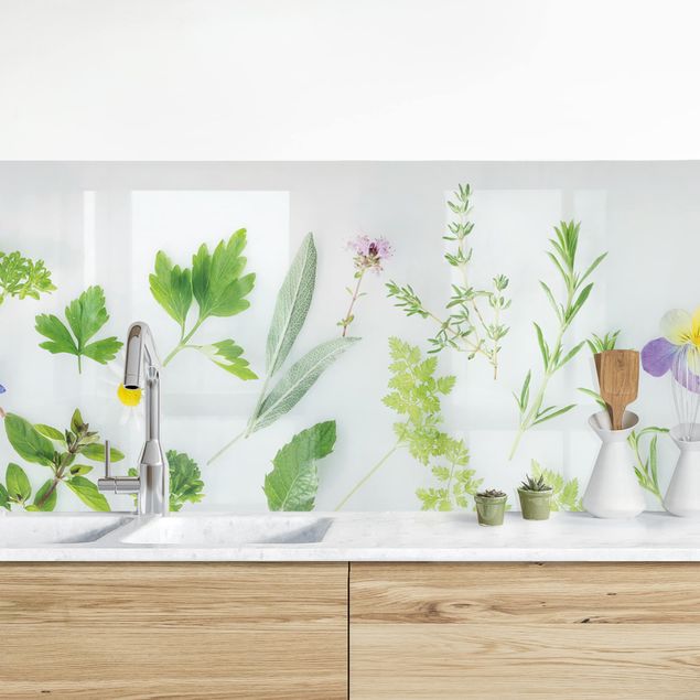 Platte Küchenrückwand Kräuter und Blüten II