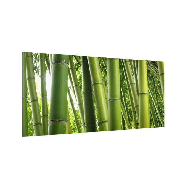 Spritzschutz Glas - Bamboo Trees - Querformat - 2:1