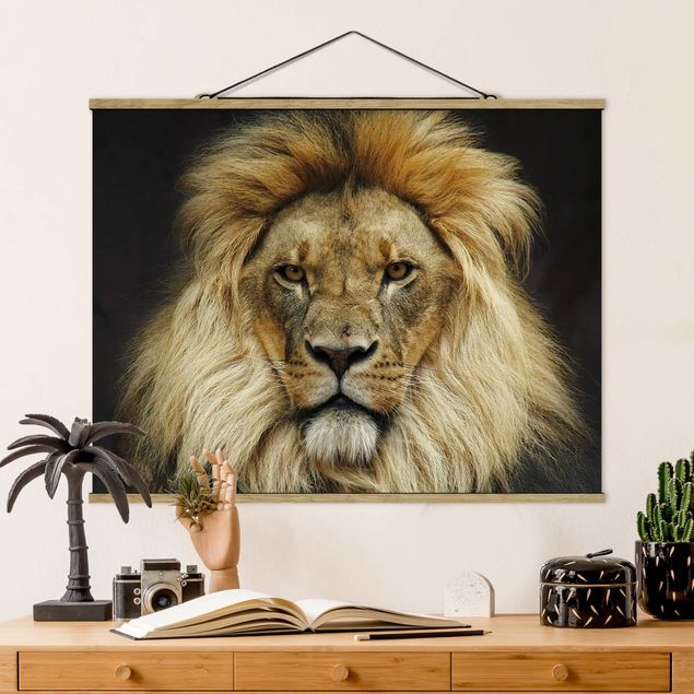 schöne Bilder Wisdom of Lion