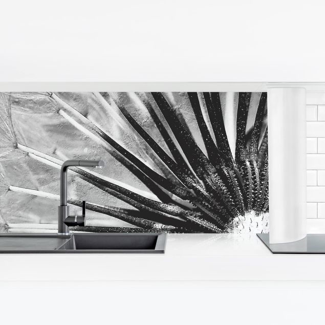 Küchenrückwand selbstklebend Pusteblume Schwarz & Weiß