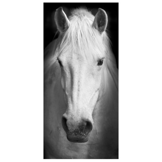 Raumteiler - Dream of a Horse 250x120cm