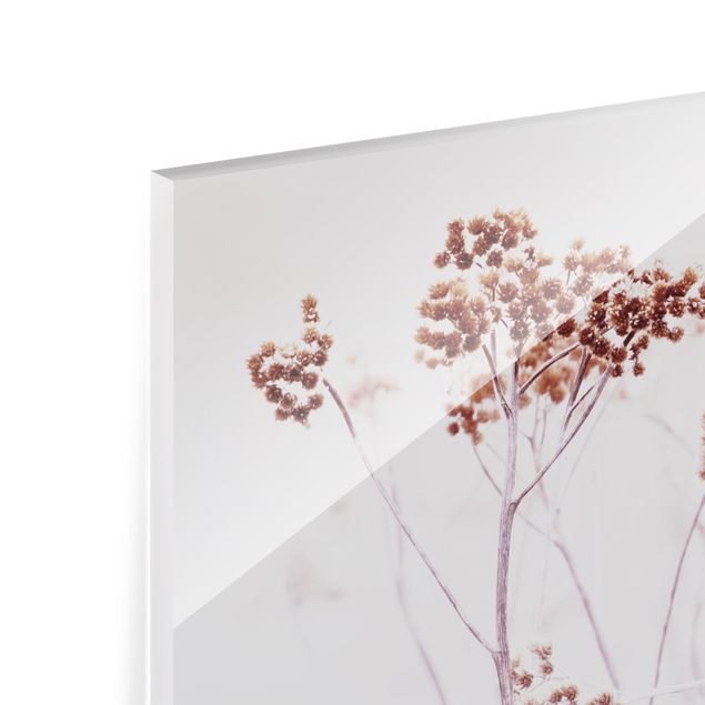 Spritzschutz Glas - Isländische Wildblumen - Quadrat 1:1