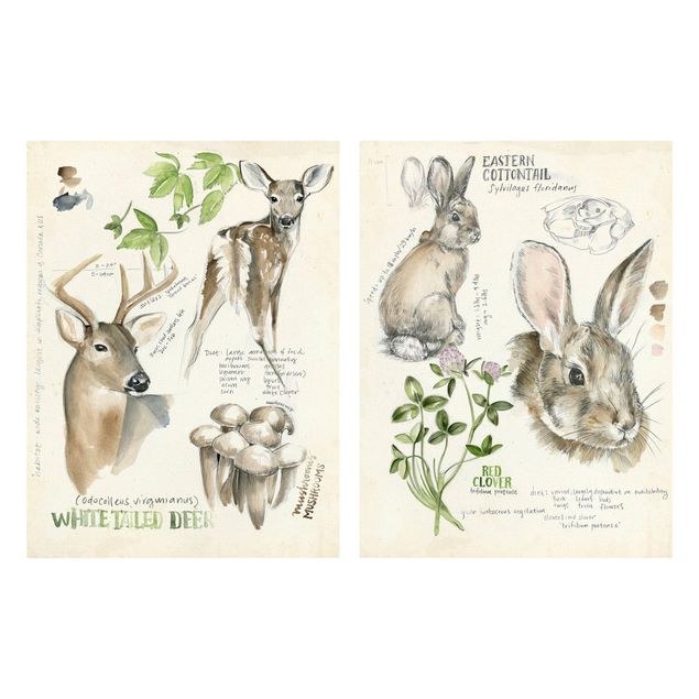 schöne Bilder Wildnis Journal - Hirsch und Kaninchen Set II