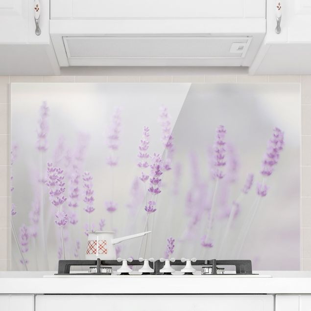Glasrückwand Küche Blumen Sommer im Lavendelfeld