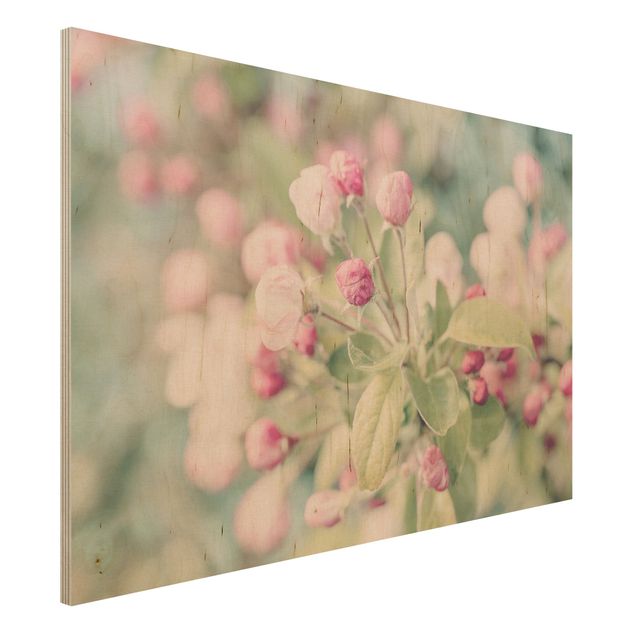 Holzbilder Blumen Apfelblüte Bokeh rosa