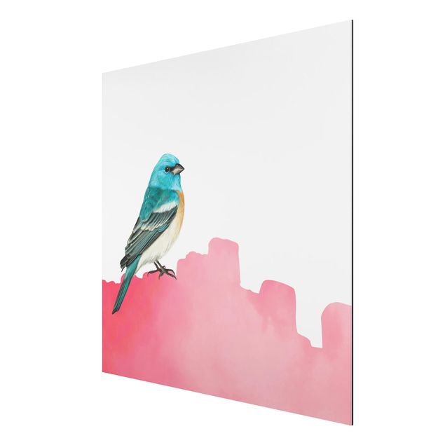 Alu-Dibond - Vogel auf Pink - Quadrat