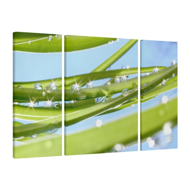 Leinwandbild 3-teilig - Fresh Green - Triptychon