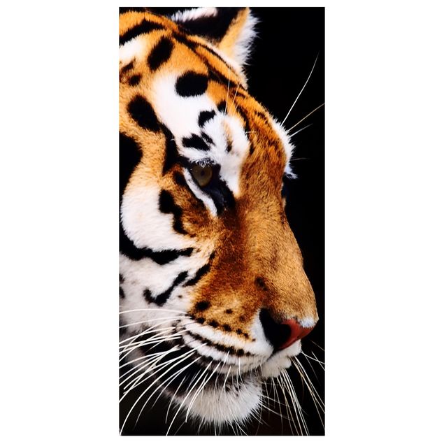 Raumteiler - Tiger Schönheit 250x120cm