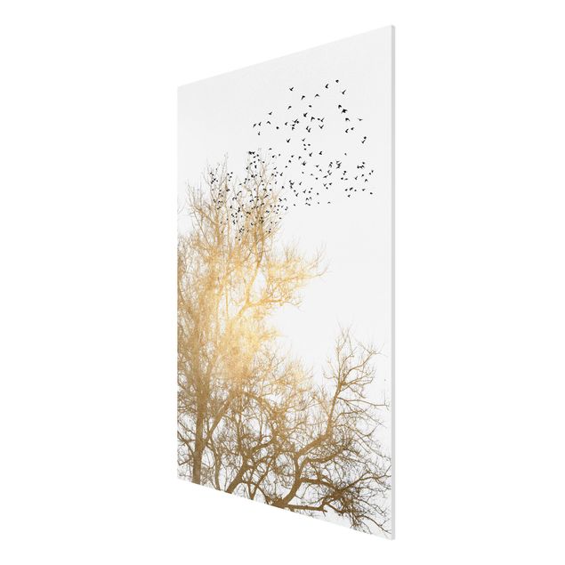 Forex Bilder Vogelschwarm vor goldenem Baum