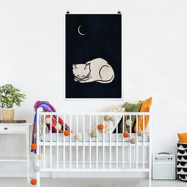 Poster schwarz-weiß Fotografie Schlafende Katze Illustration