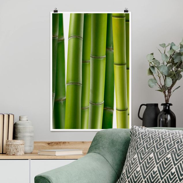 Wand Poster XXL Bambuspflanzen