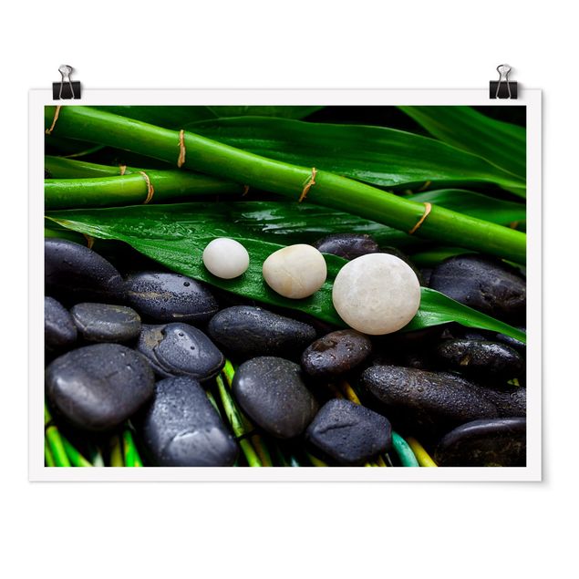 Bilder Grüner Bambus mit Zen Steinen