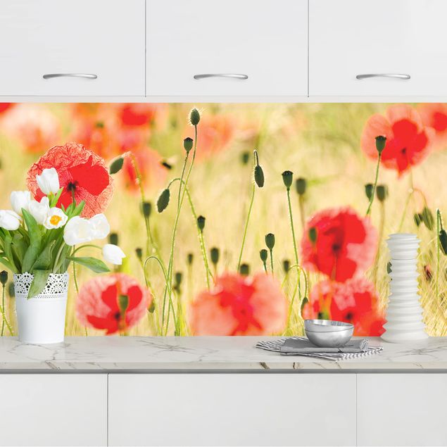 Küchenrückwand Folie Blumen Summer Poppies