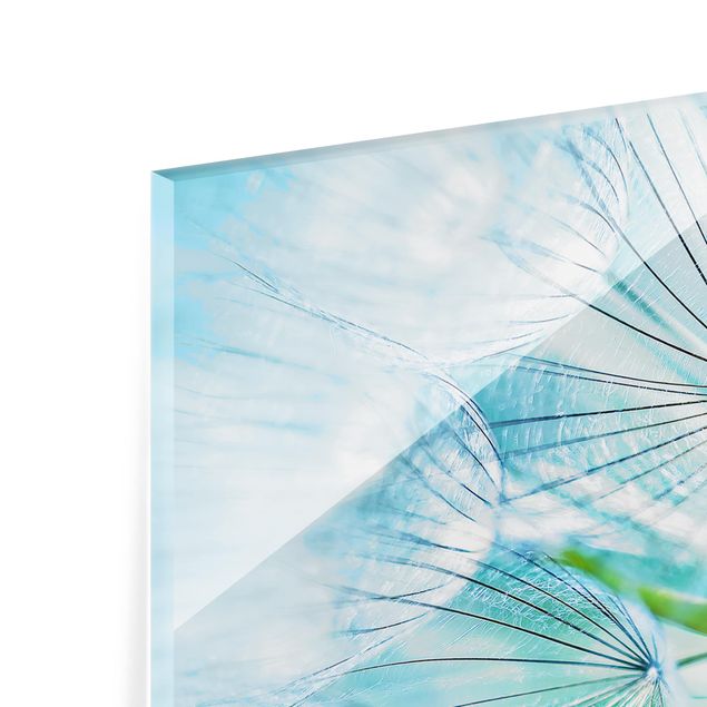 Spritzschutz Glas - Abstrakte Pusteblume - Querformat - 2:1