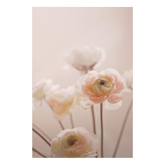 Alu-Dibond - Zarter Strauch an Rosa Blüten - Querformat