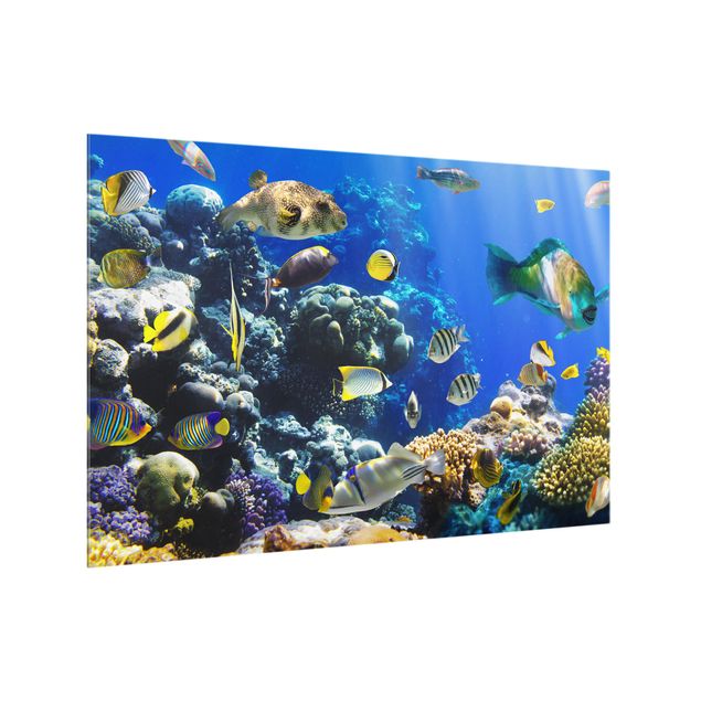 Spritzschutz Glas - Underwater Reef - Querformat - 3:2