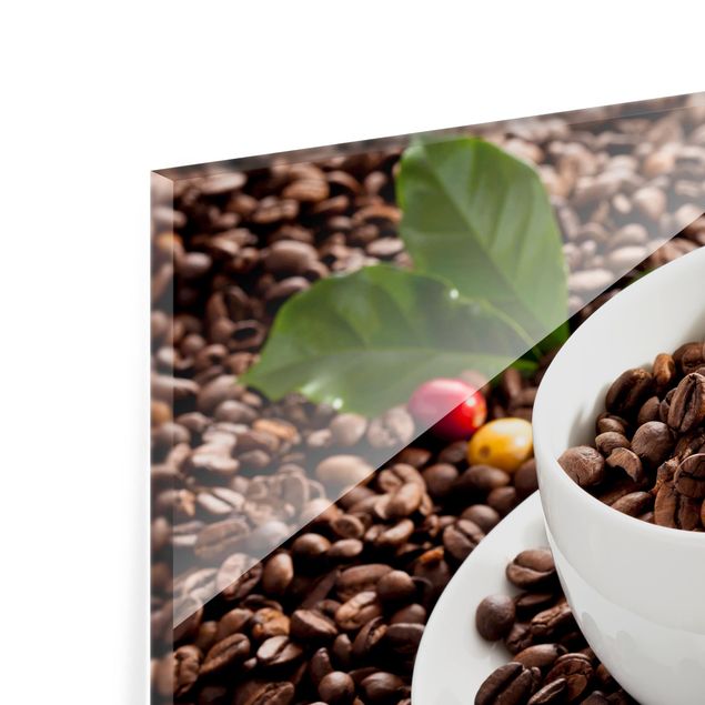 Glas Spritzschutz - Kaffeetasse mit gerösteten Kaffeebohnen - Querformat - 4:3