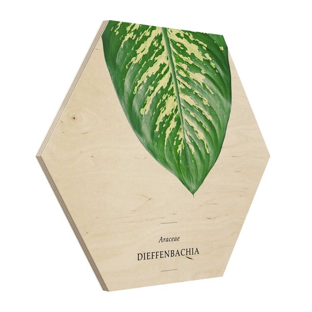 Hexagon Bild Holz - Tropisches Blatt Dieffenbachie