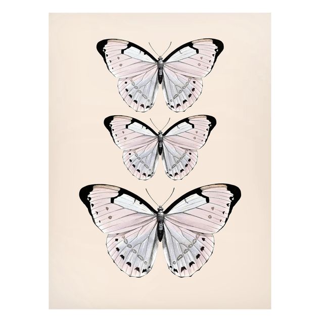 Magnettafel - Schmetterling auf Beige - Hochformat 3:4