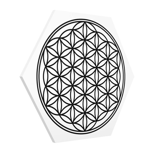 Hexagon Bild Forex - Blume des Lebens
