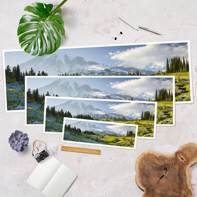 Panorama Poster Natur & Landschaft - Bergwiese mit blauen Blumen vor Mt. Rainier